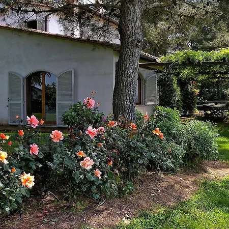 Sleeps 8 Pool Wifi Villa Orvieto